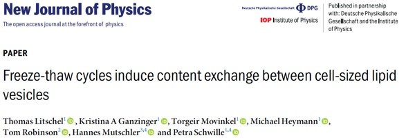 Genetic exchange between protocells