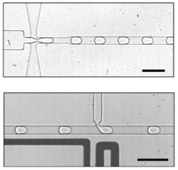 On the path to an artificial cell