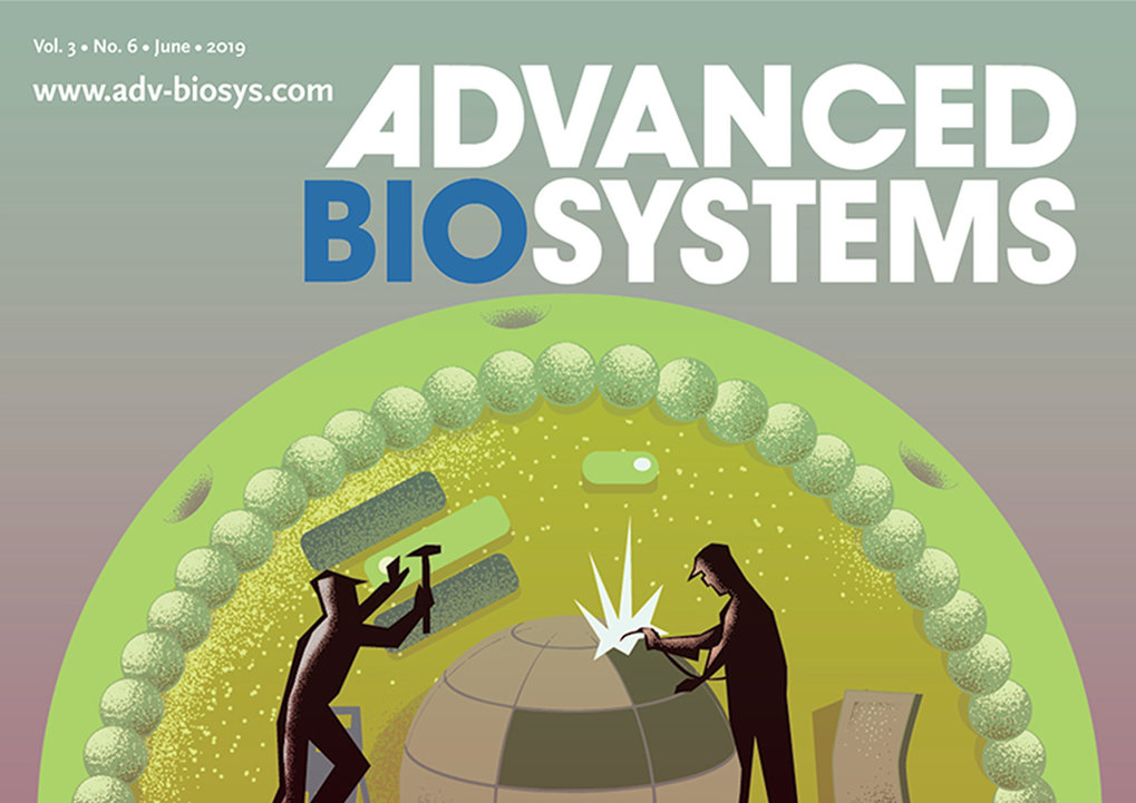 Special Issue in Advanced Biosystems